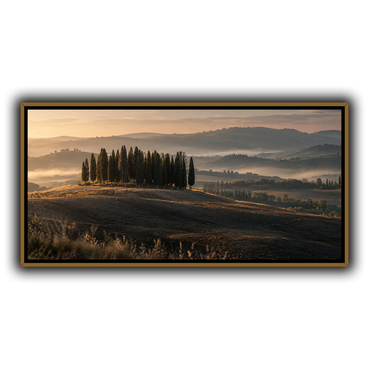 09_San_Quirico_Cypresses_Val_d_Orcia