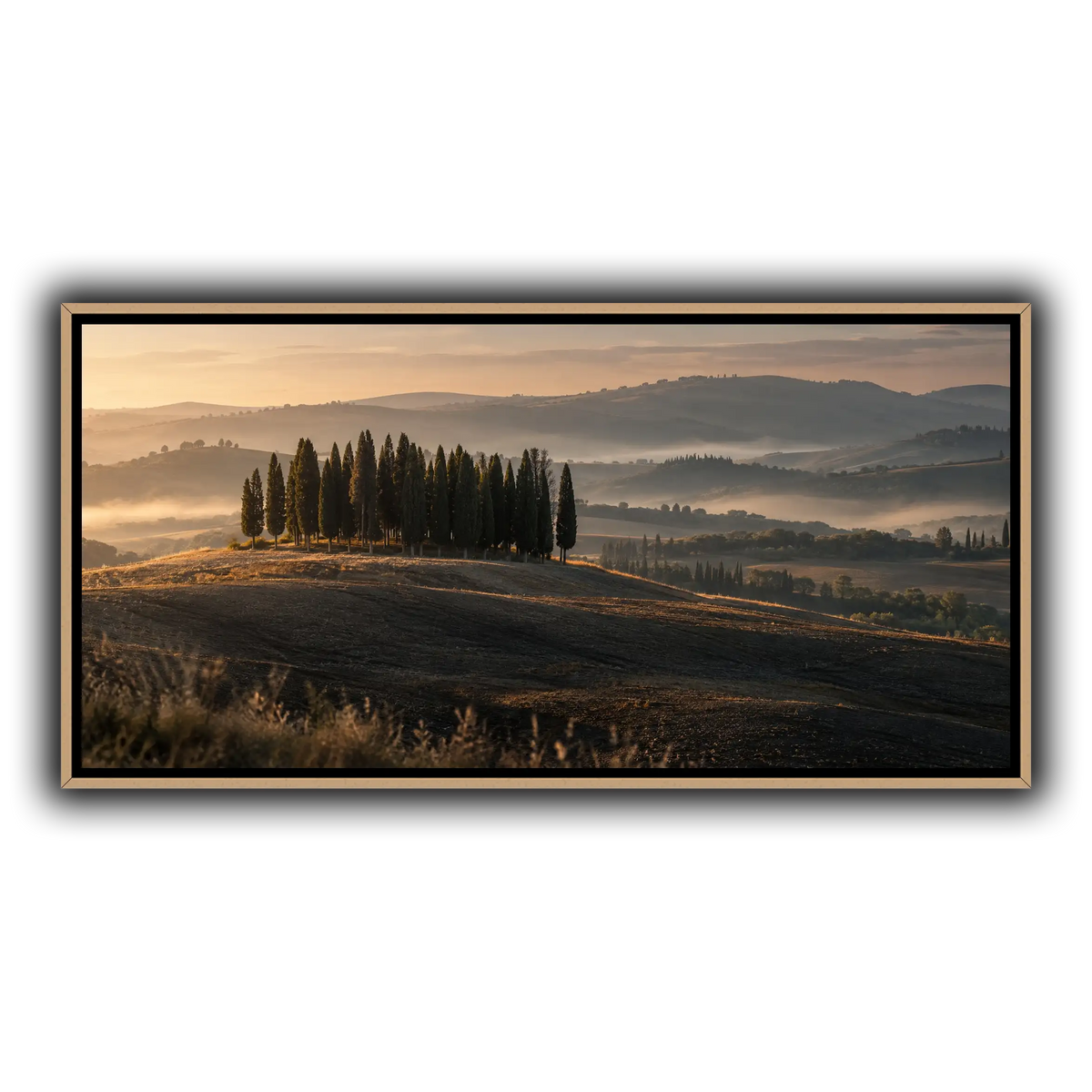 09_San_Quirico_Cypresses_Val_d_Orcia