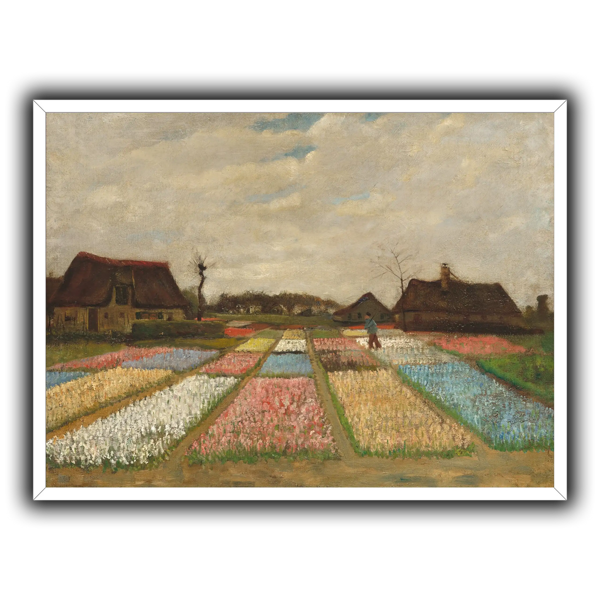 Bulb_Fields
