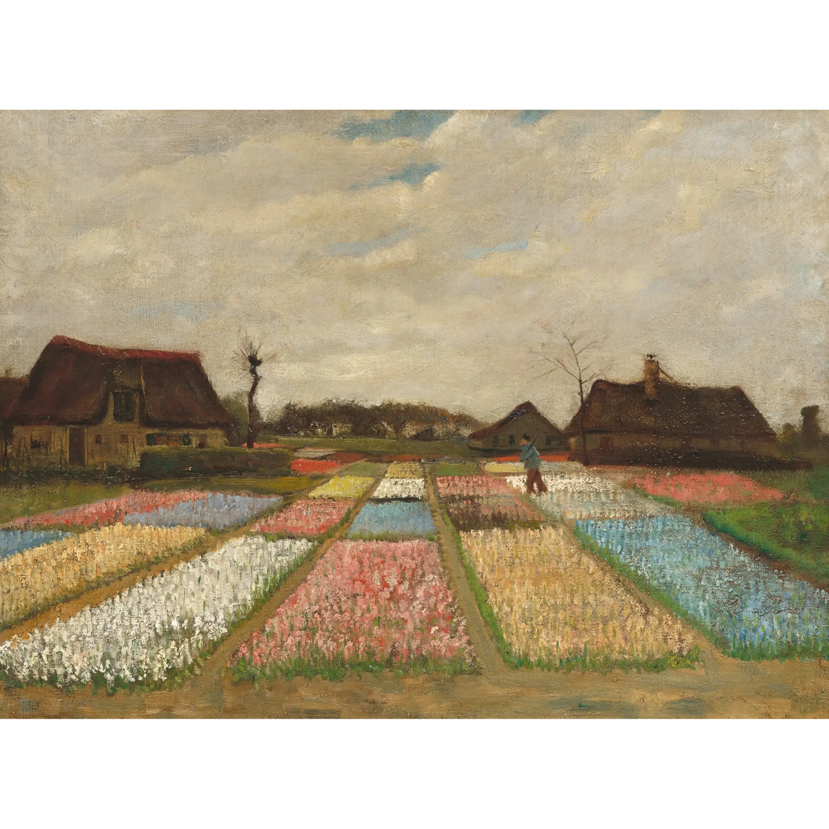 Bulb_Fields