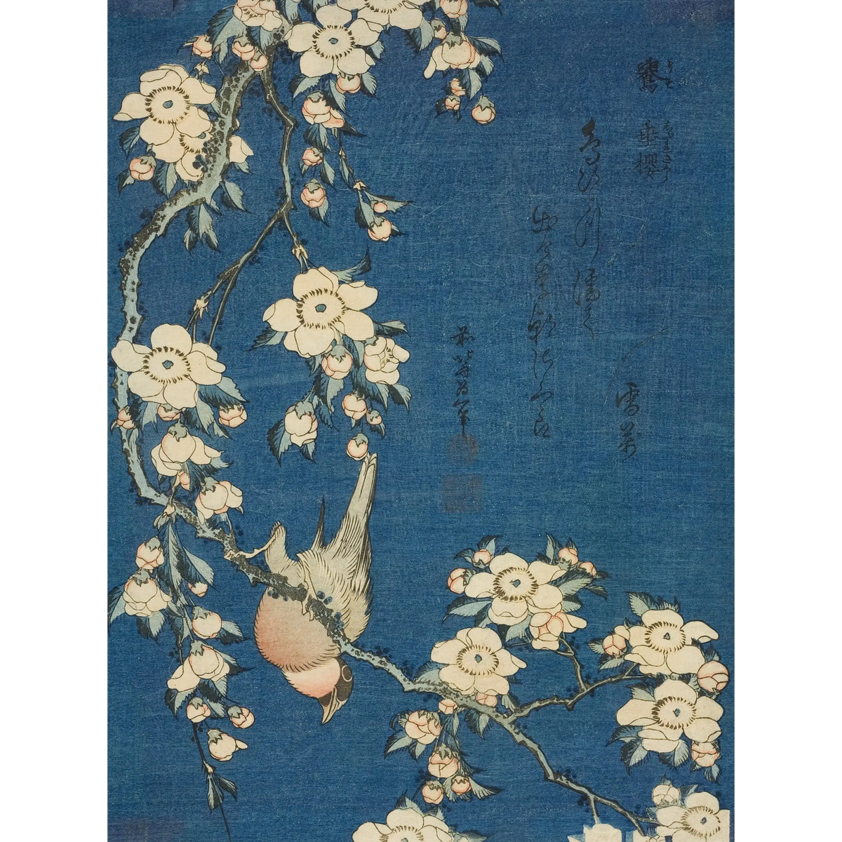 Bullfinch_and_Weeping_Cherry)_Katsushika Hokusai
