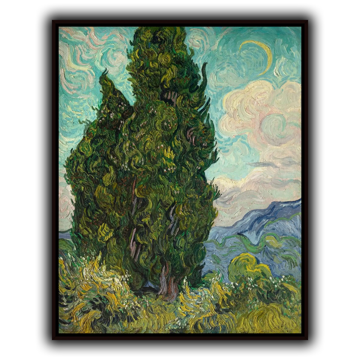 Cypresses