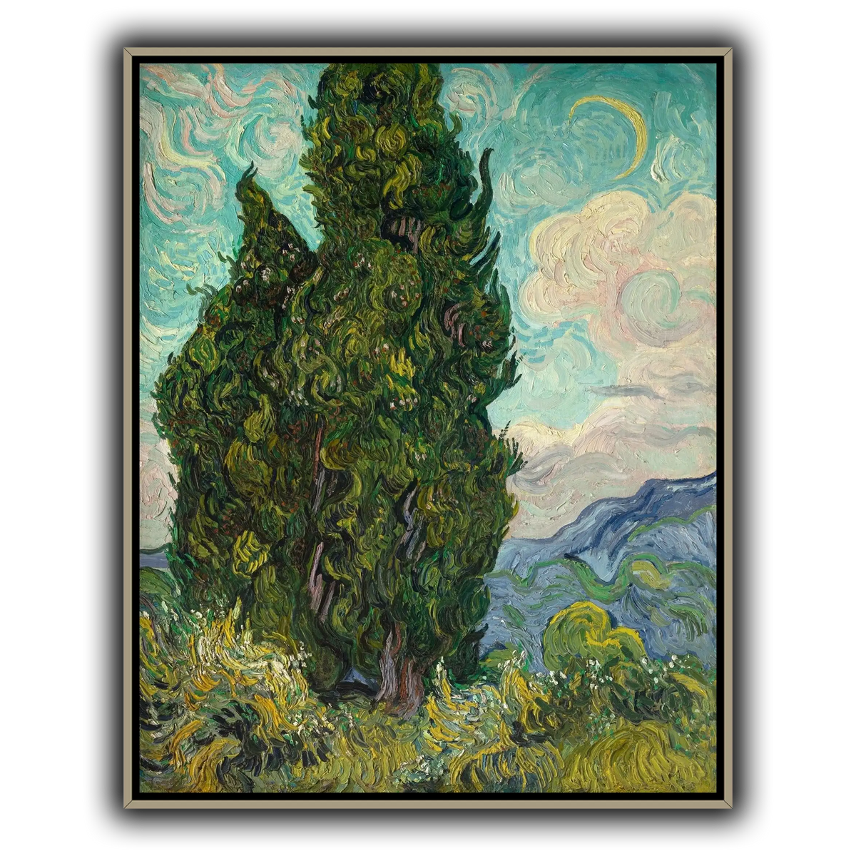 Cypresses