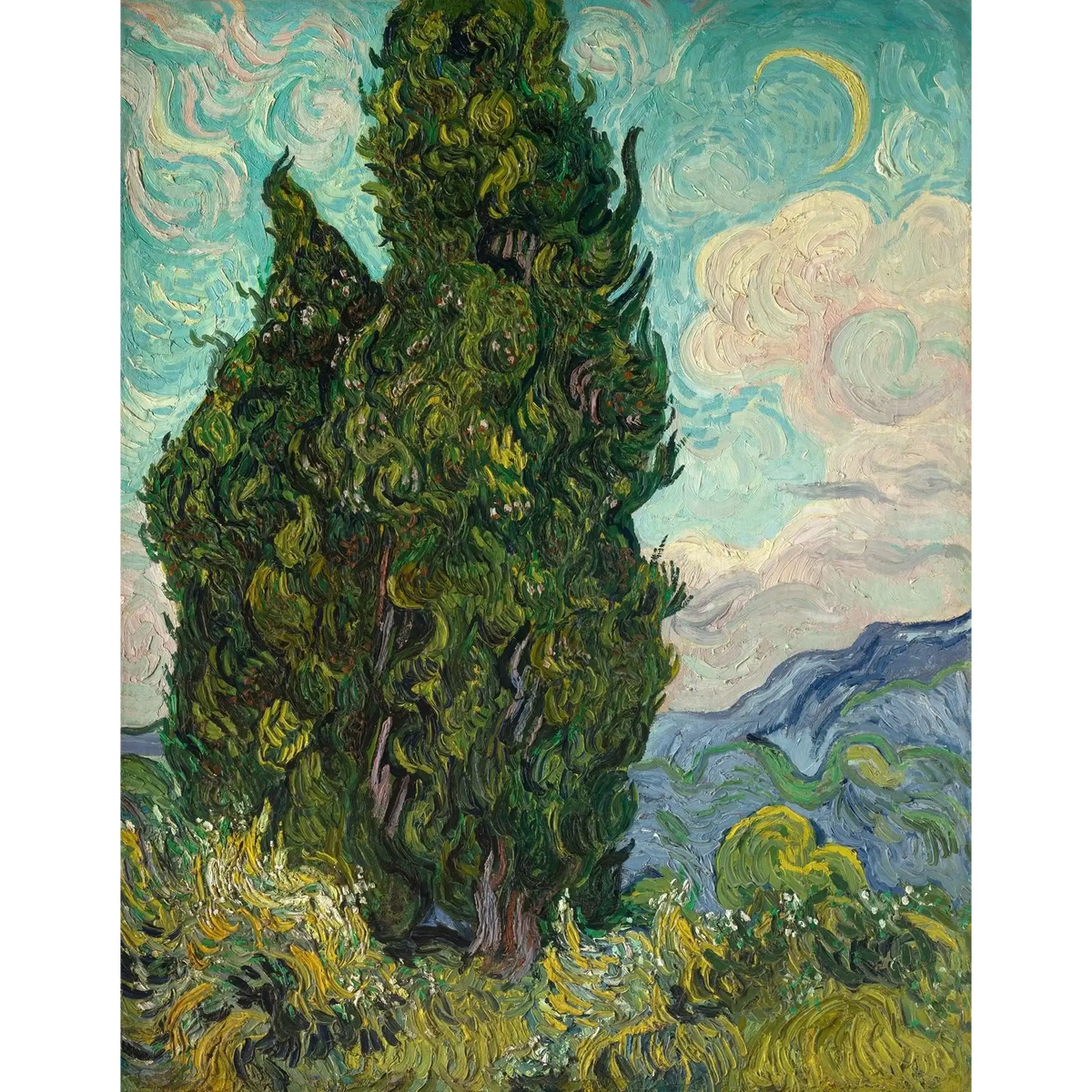Cypresses