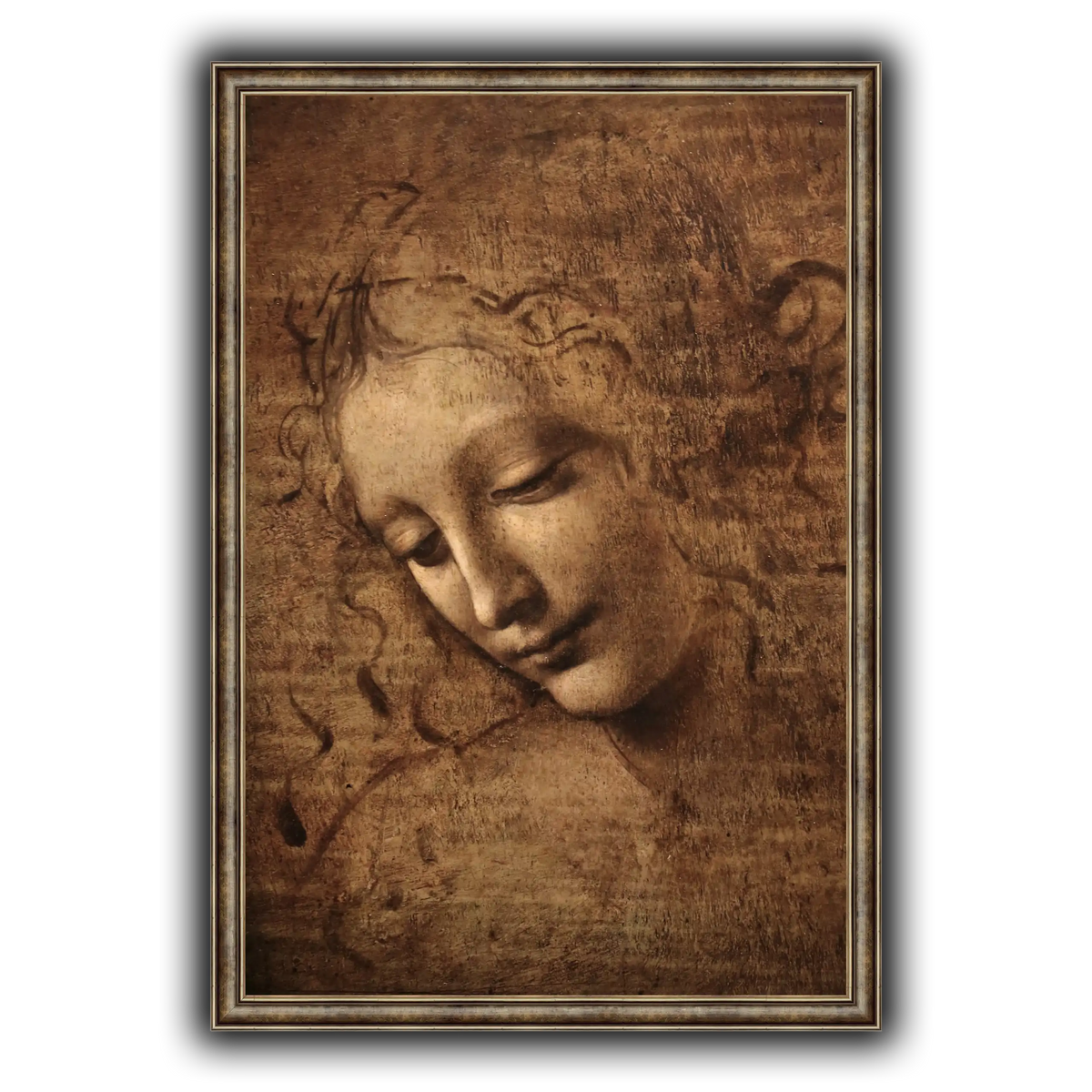 Leonardo_da_vinci_-_La_scapigliata