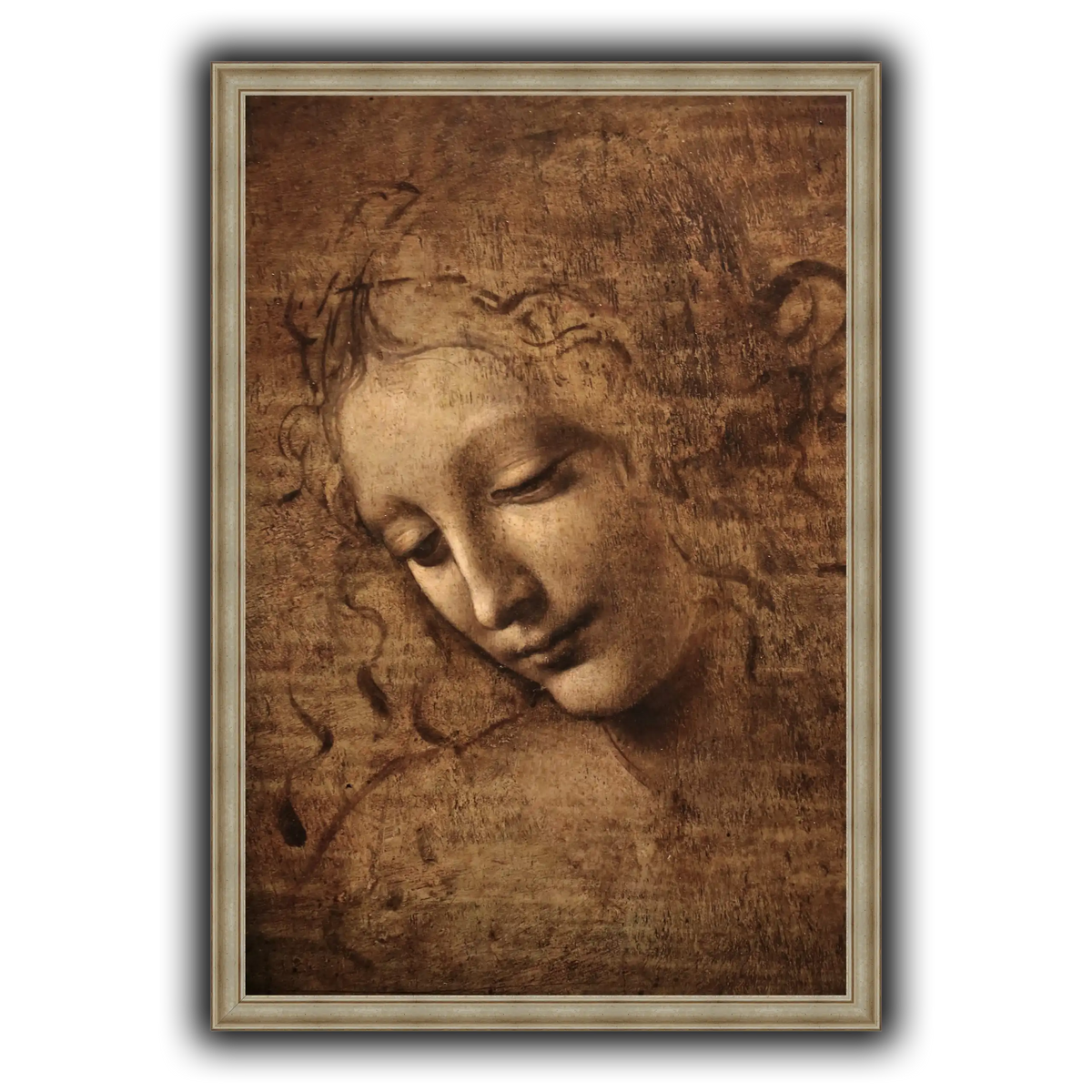 Leonardo_da_vinci_-_La_scapigliata
