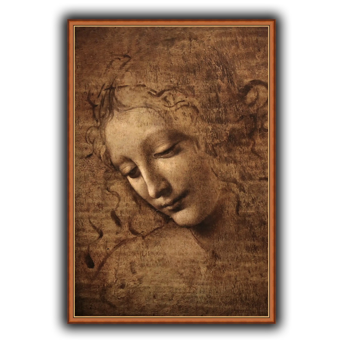 Leonardo_da_vinci_-_La_scapigliata