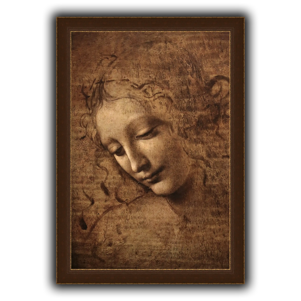 Leonardo_da_vinci_-_La_scapigliata