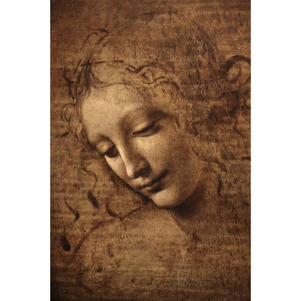 Leonardo_da_vinci_-_La_scapigliata
