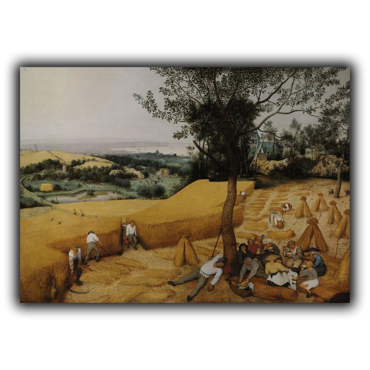 Pieter_Bruegel_The_Harvesters