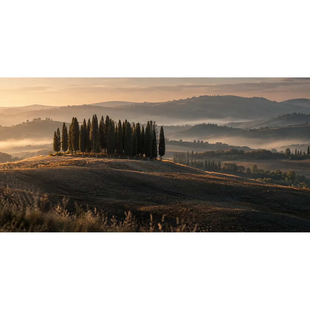 09_San_Quirico_Cypresses_Val_d_Orcia