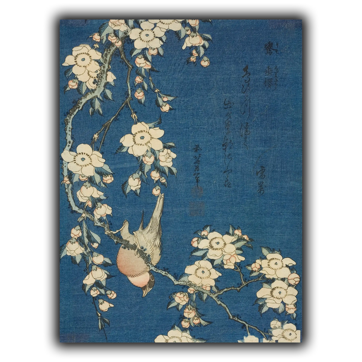 Bullfinch_and_Weeping_Cherry)_Katsushika Hokusai
