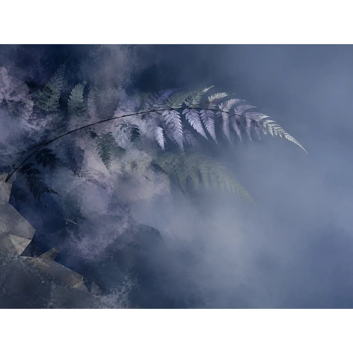 Fern afterimage through indigo fog-4
