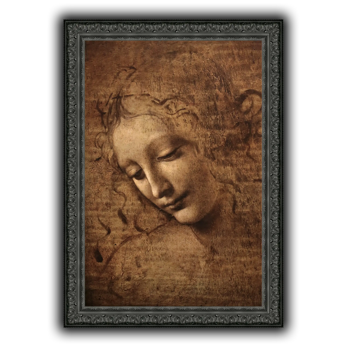 Leonardo_da_vinci_-_La_scapigliata