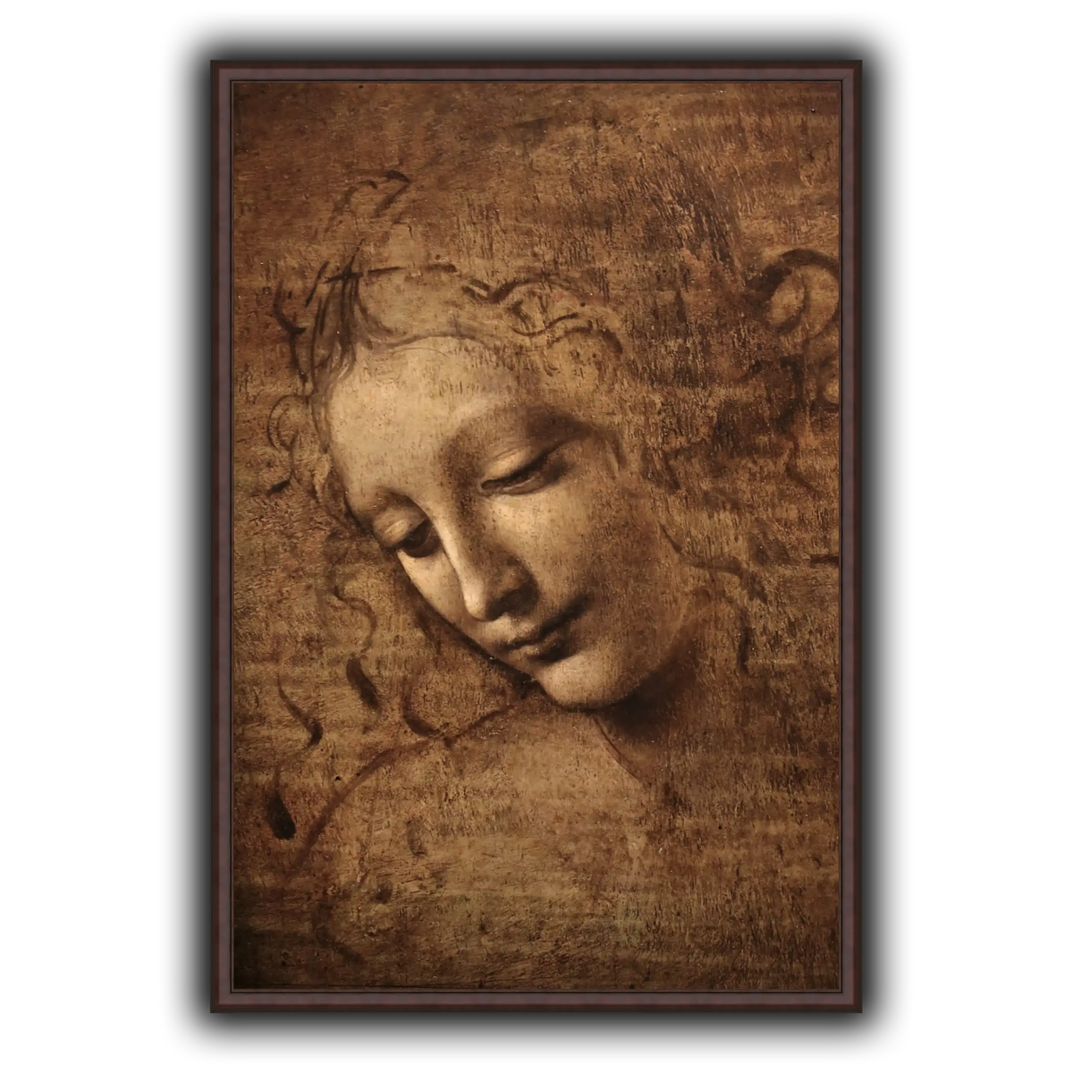 Leonardo_da_vinci_-_La_scapigliata