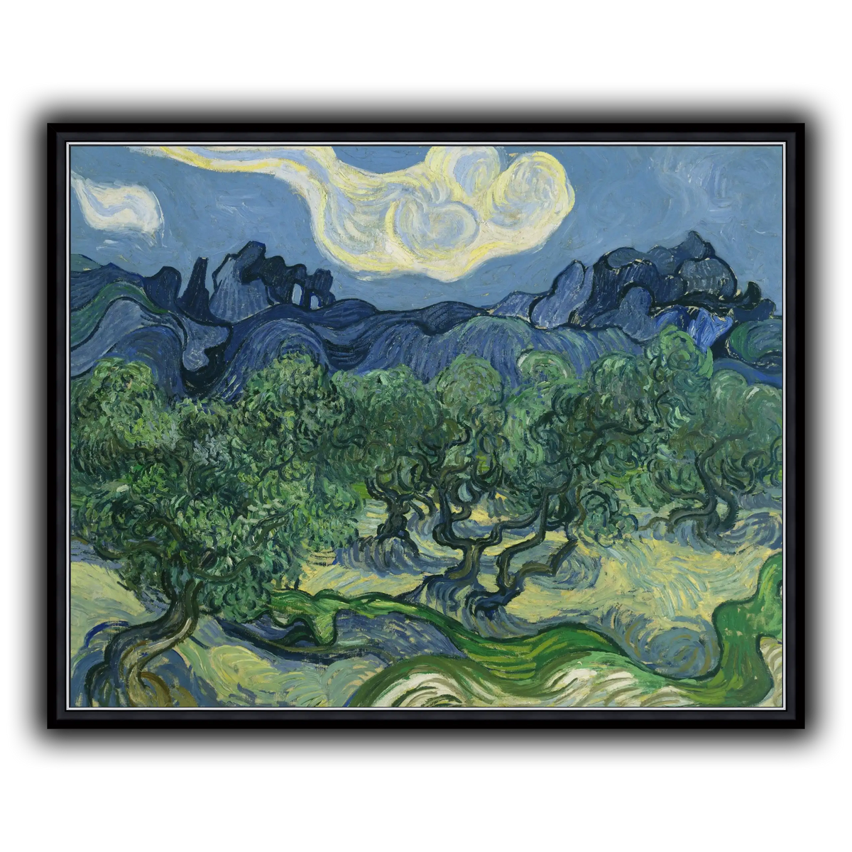 Van_Gogh_The_Olive_Trees.